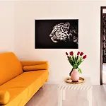 Parliament Marriott Unirii Square 5 Bedrooms Luxury Apartment Old Town